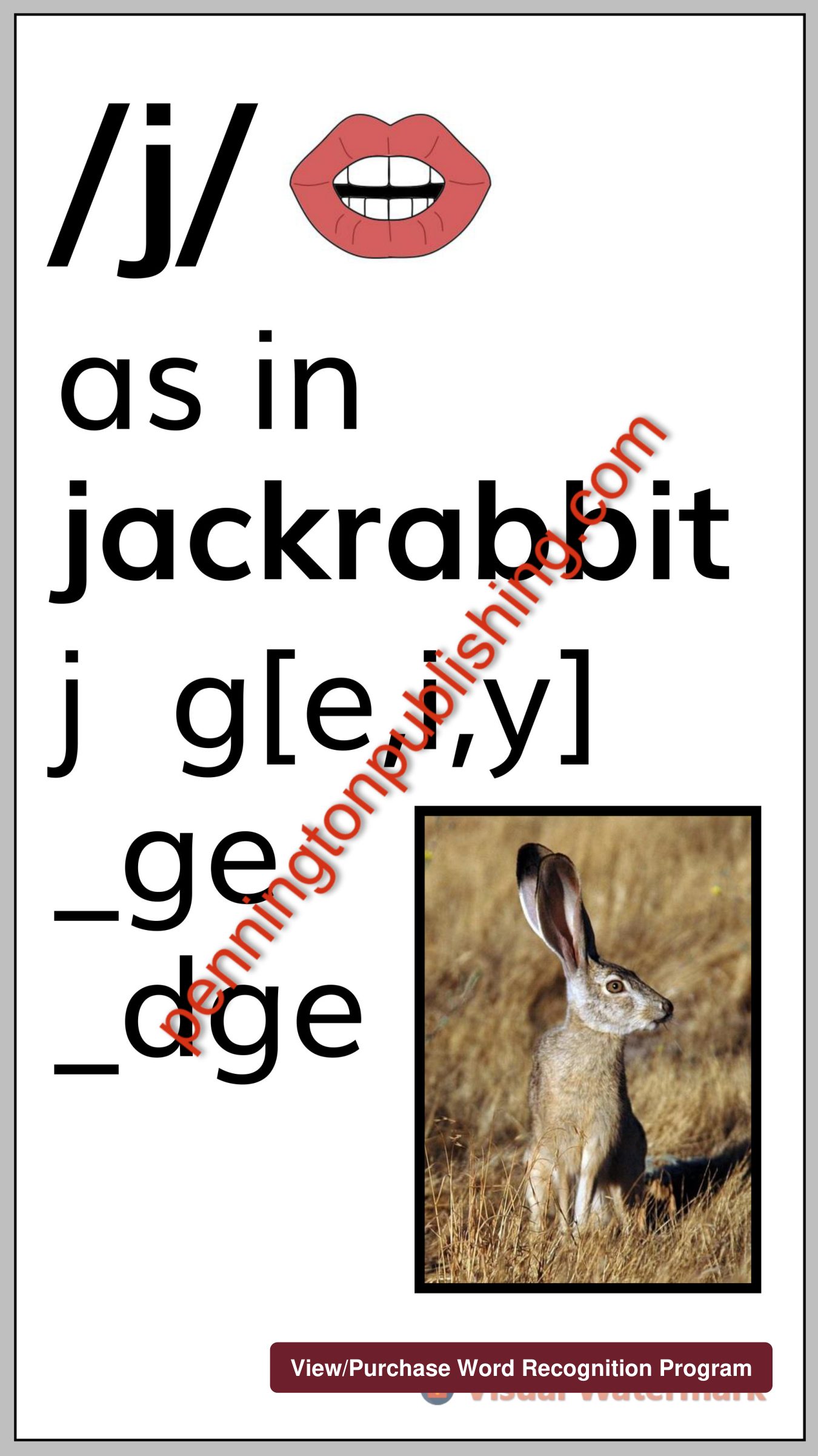 Sample page 8 from The Science of Reading Intervention Program: Word Recognition (Phonics, Spelling, Phonics, Fluency, and Comprehension)