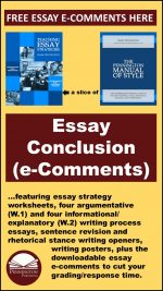 Response Comments for Essay Conclusions