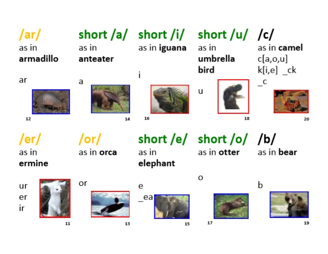 Short Vowels Animal Sound-Spelling Cards