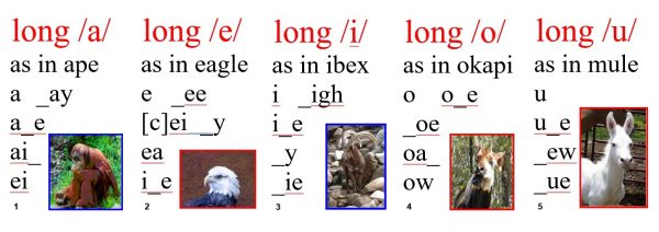 The Long Vowels