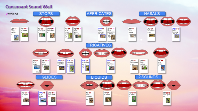 Mouth Formation Pennington Publishing Blog