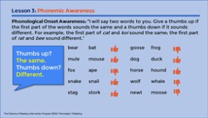 Phonemic Awareness 